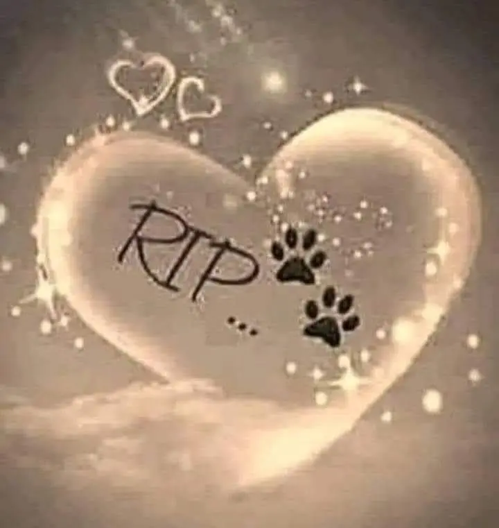 Condolence image of Sabine Wagner