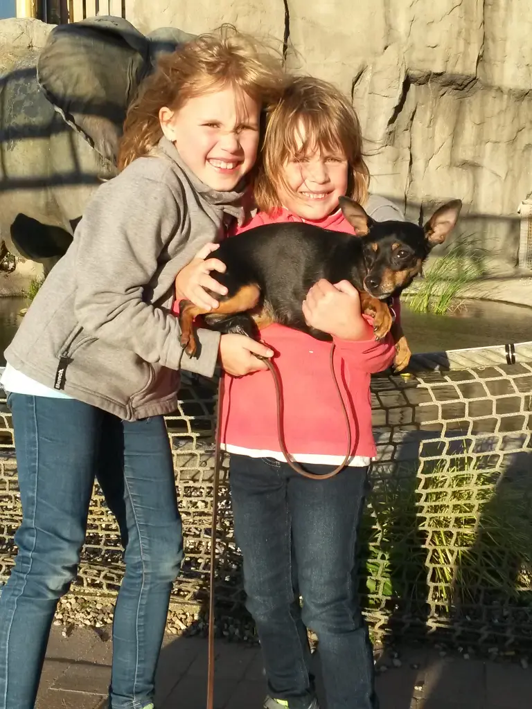 Andachtsbild von Sören Thele