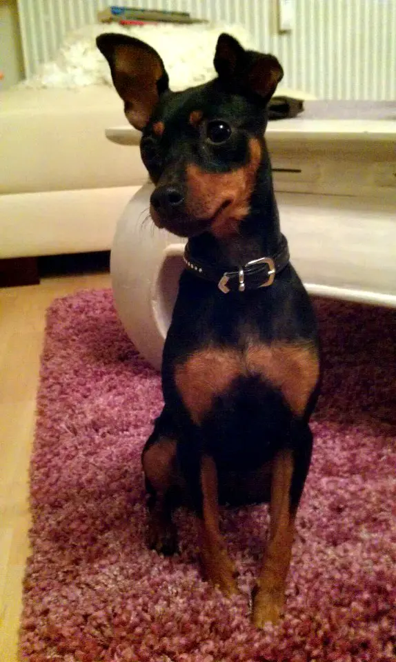 Dein erster Tag: Der Blick voll Neugier und Freundlichkeit