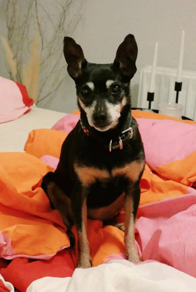 ...und später: voller Liebe