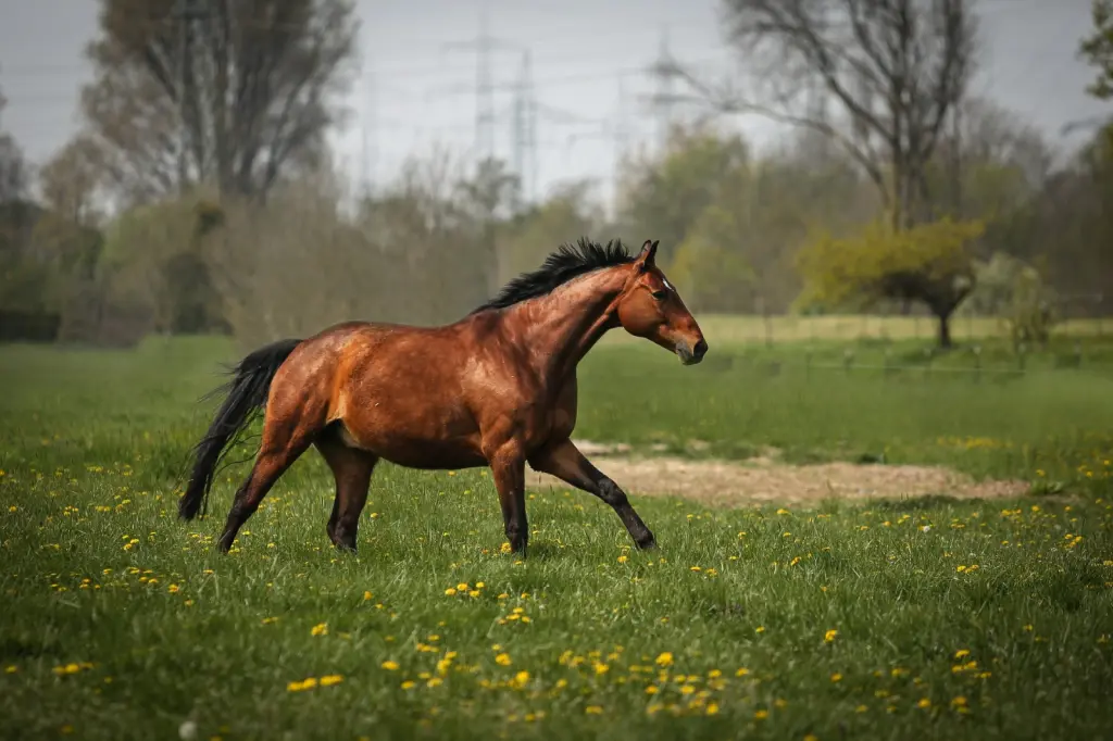 Bild von Dante
