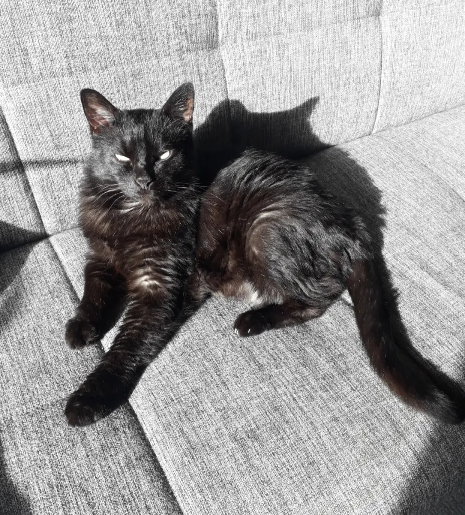 Condolence image of Michael