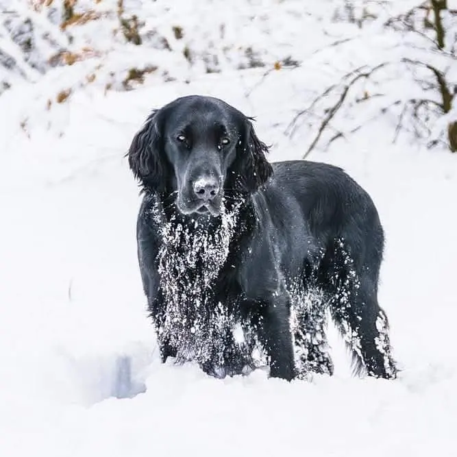 Schnee war so toll.