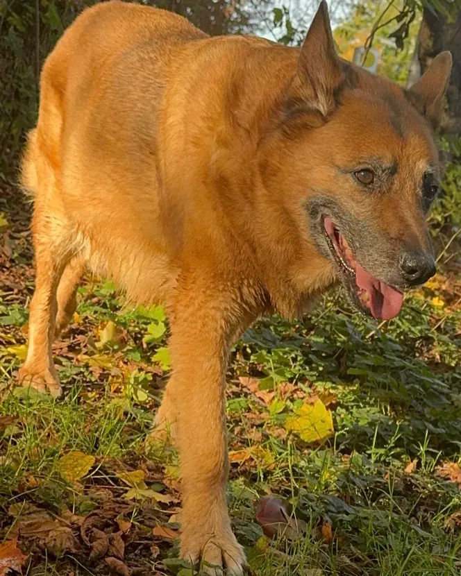Condolence image of Markus Christian Stiegler