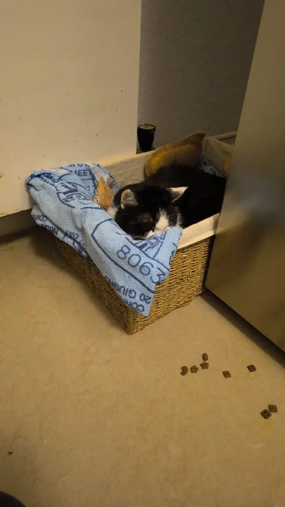 Condolence image of Vanessa Boßle