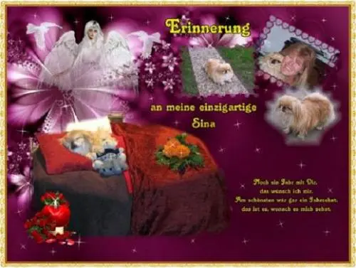 Image from meine einzigartige Sina