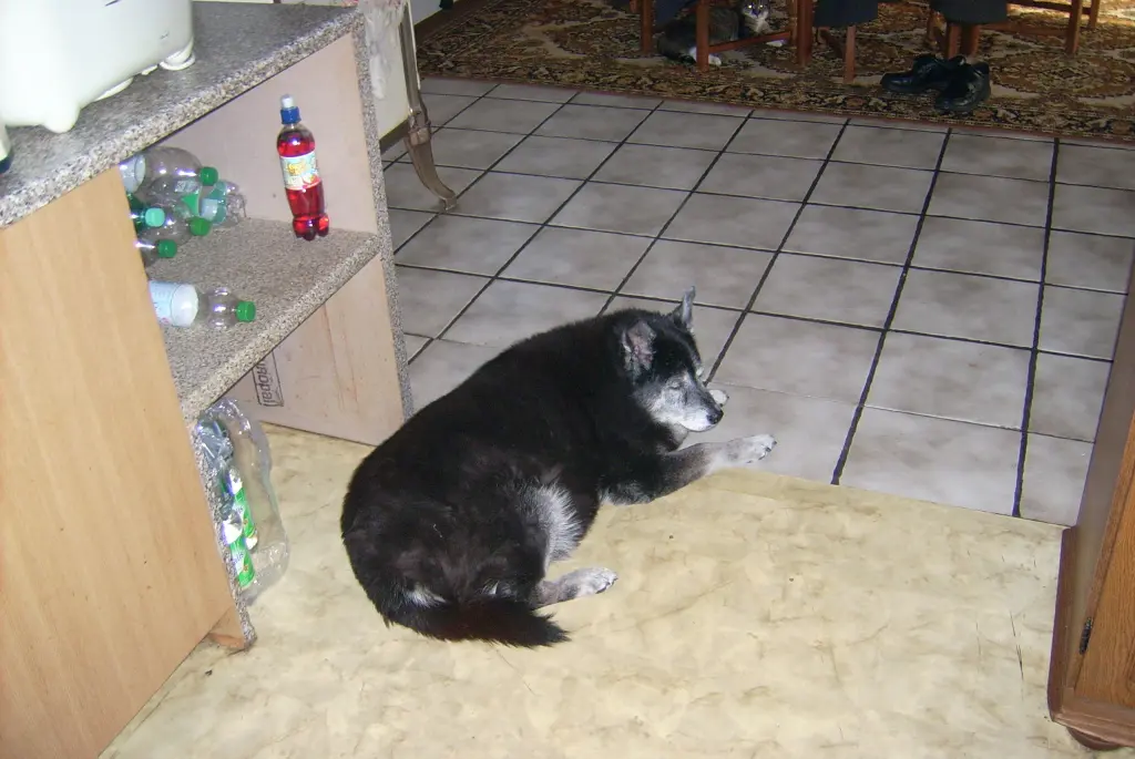Condolence image of Renate