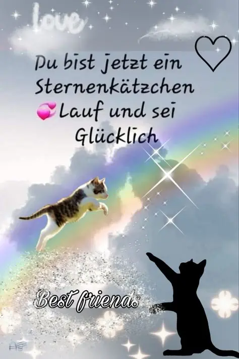 Condolence image of Konny mit Piccolino-Fly tief ❤️