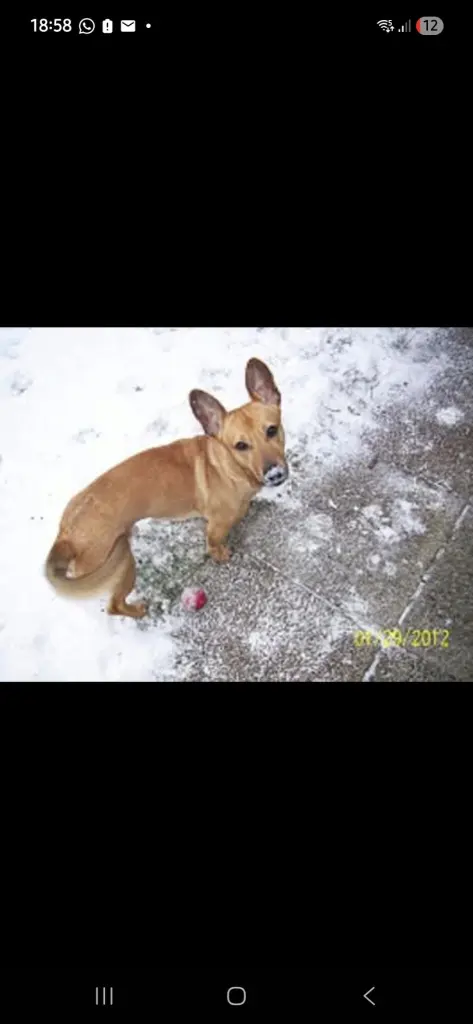 Bild von Tomi