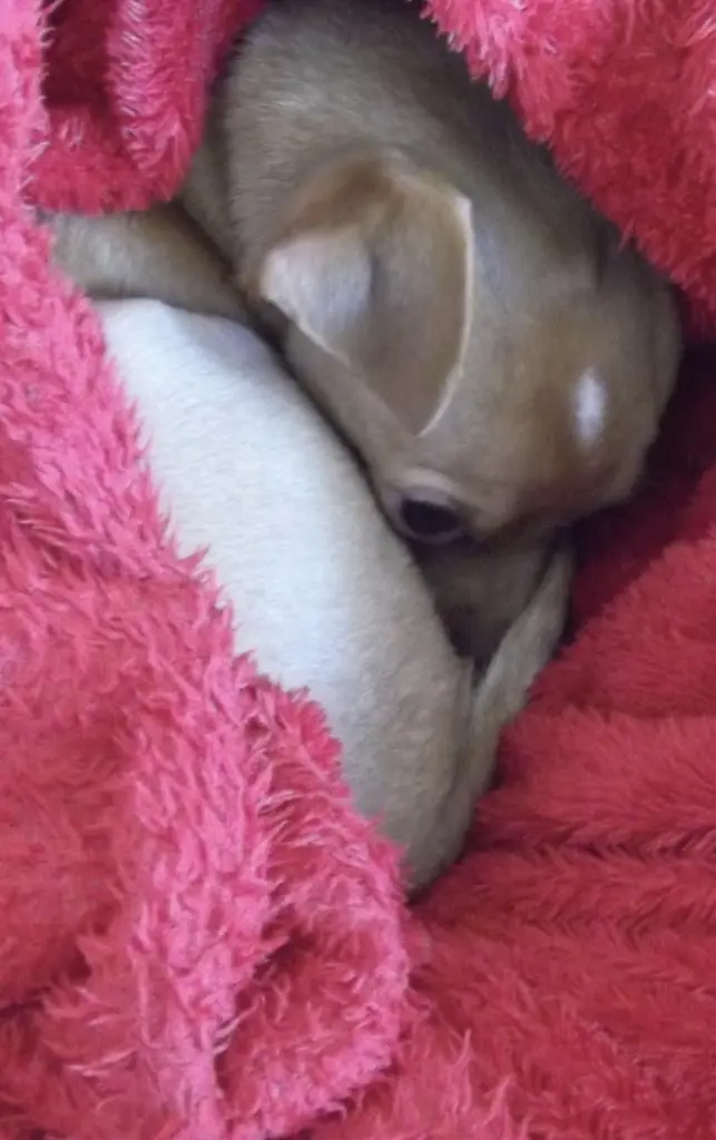 Condolence image of Susanne