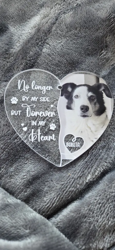 Condolence image of Anne