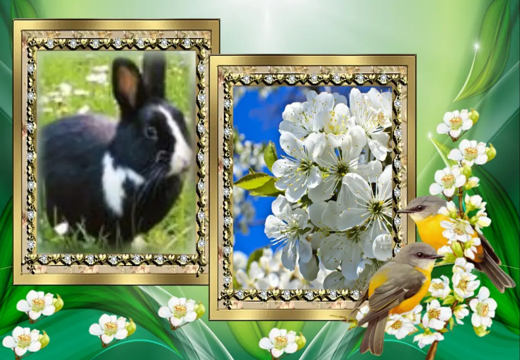 Condolence image of Fur Kleine Liebe Jasper❤