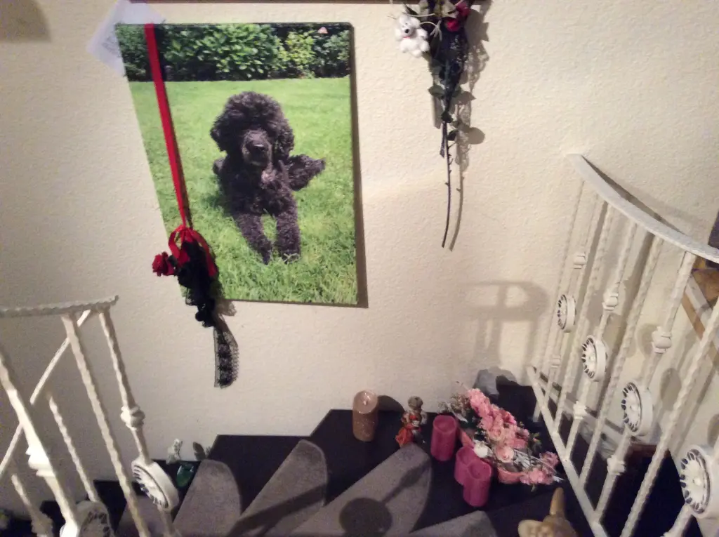 Condolence image of Heidi 