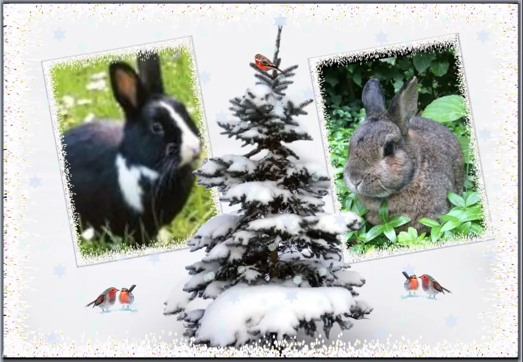 Condolence image of Fur Liebe Jasper❤zum 1 Advent