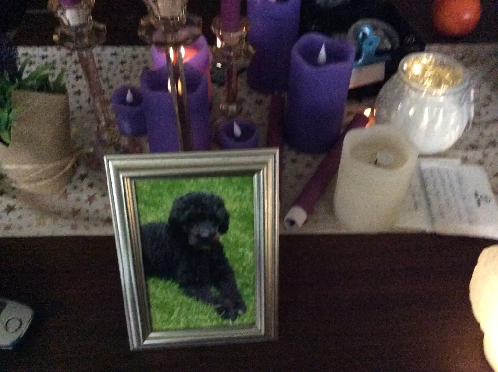 Condolence image of Heidi