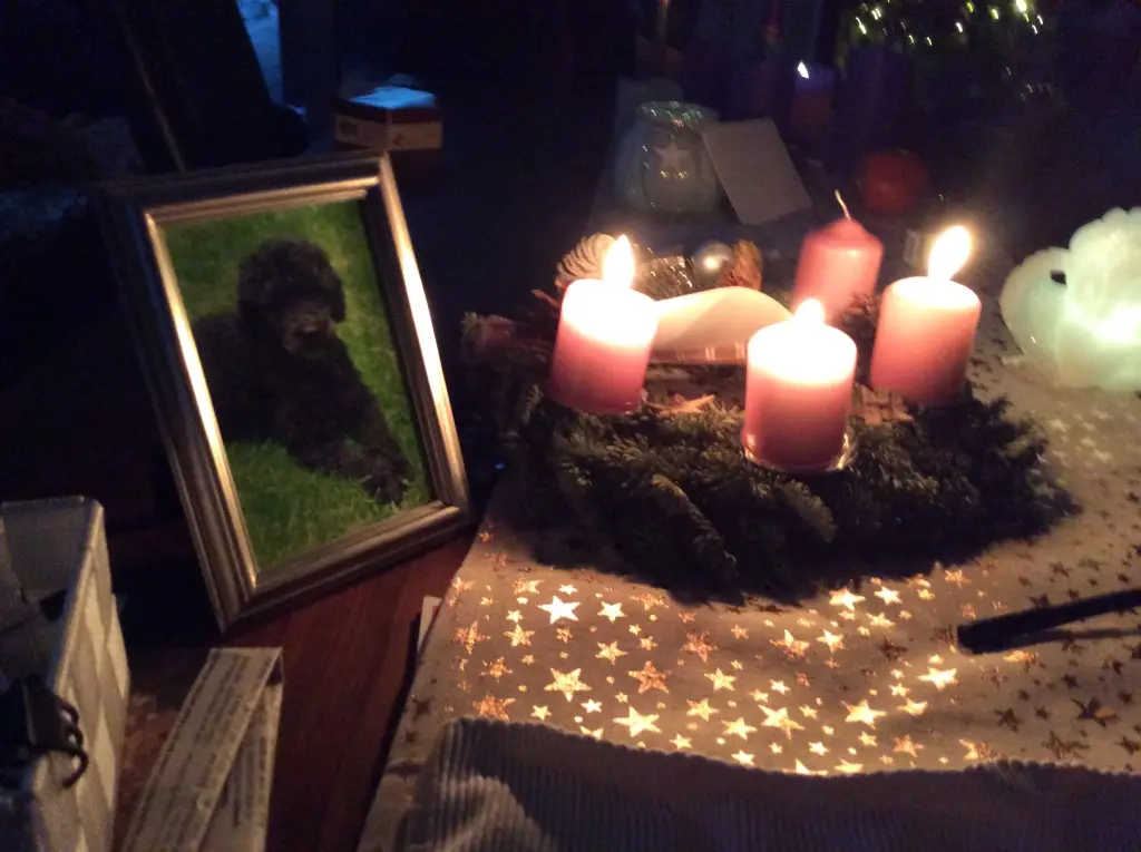 Condolence image of Heidi 