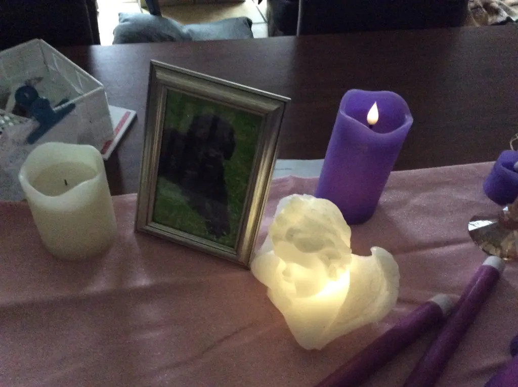 Condolence image of Heidi 