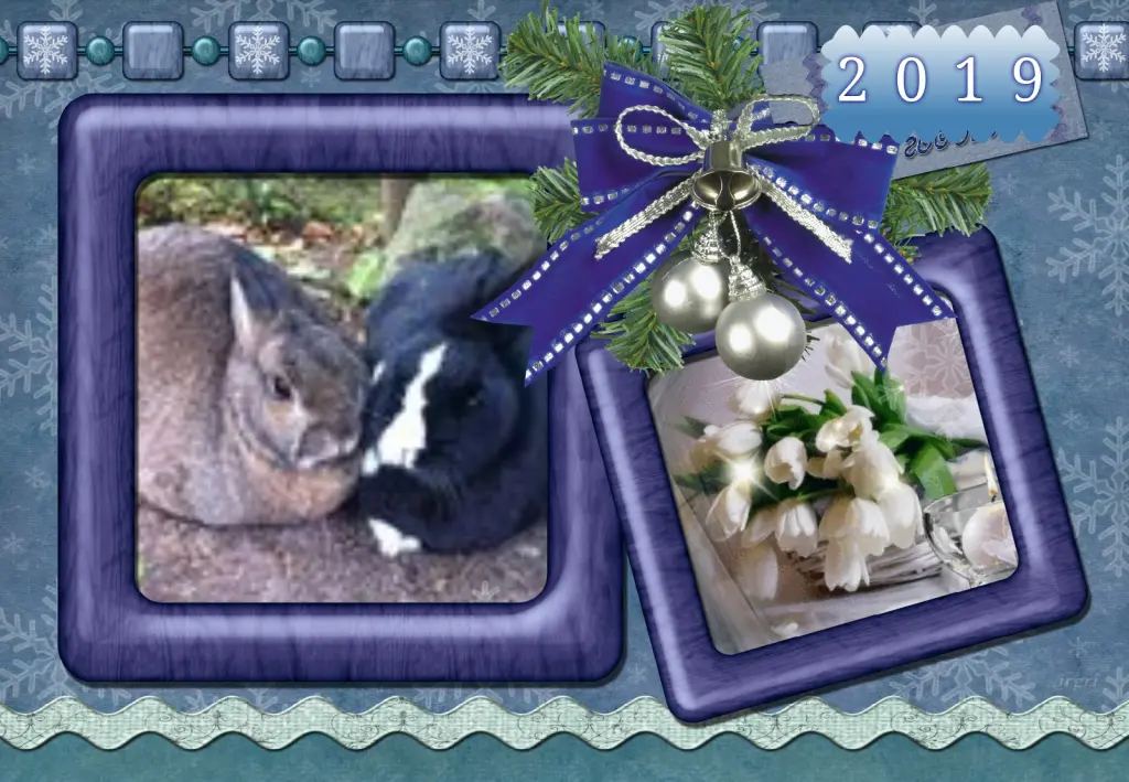 Condolence image of Klaudia mit Misiu❤❤❤Ganz Tief im Herzen❤