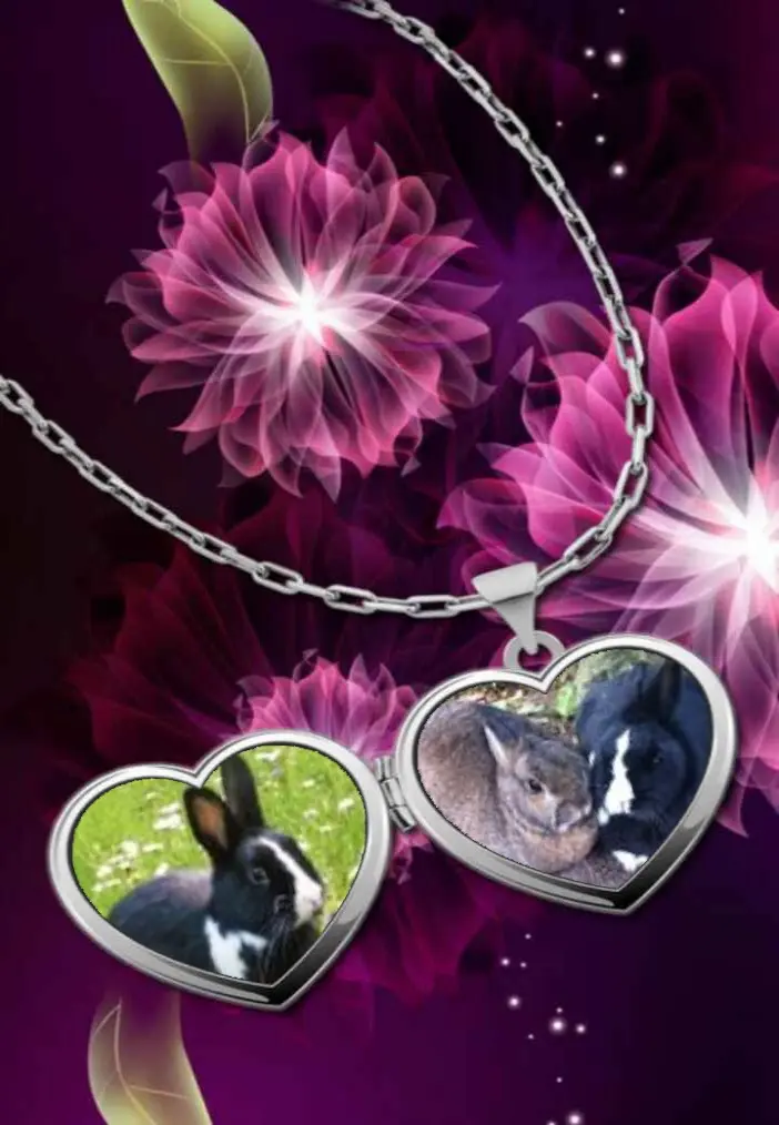 Condolence image of Klaudia mit Misiu❤❤❤Ganz Tief im Herzen❤