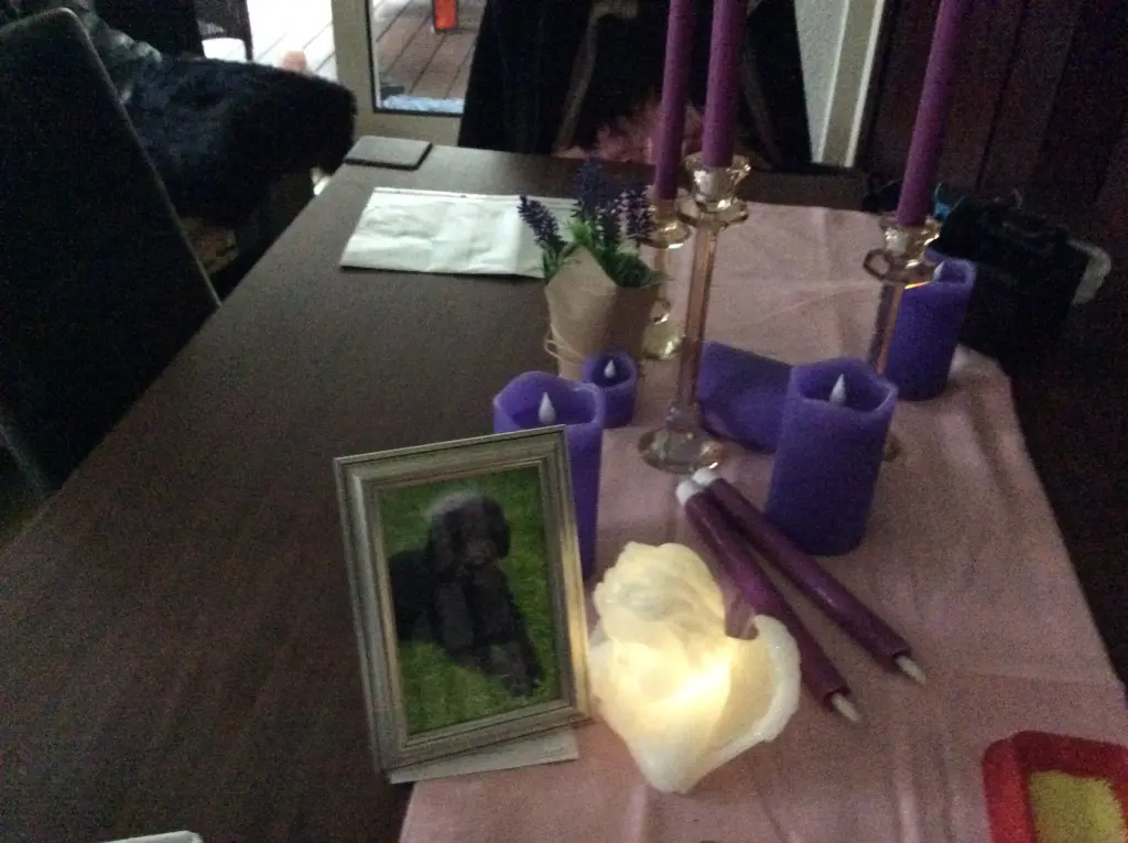 Condolence image of Heidi 