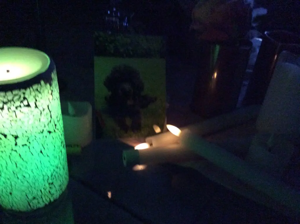 Condolence image of Heidi 