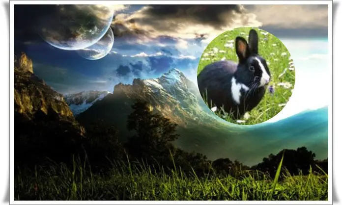 Condolence image of Liebe Jasper❤️
