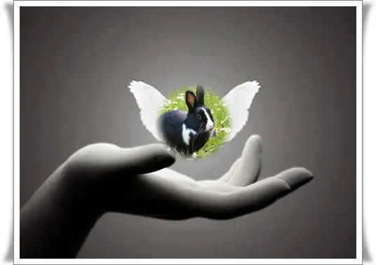 Condolence image of Liebe Jasper❤️