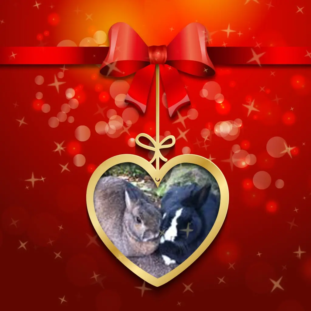 Condolence image of Liebe Jasper❤️