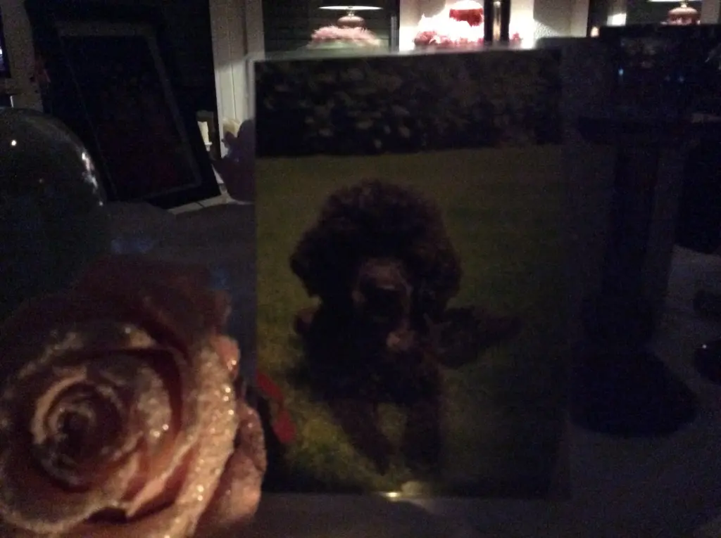 Condolence image of Heidi 