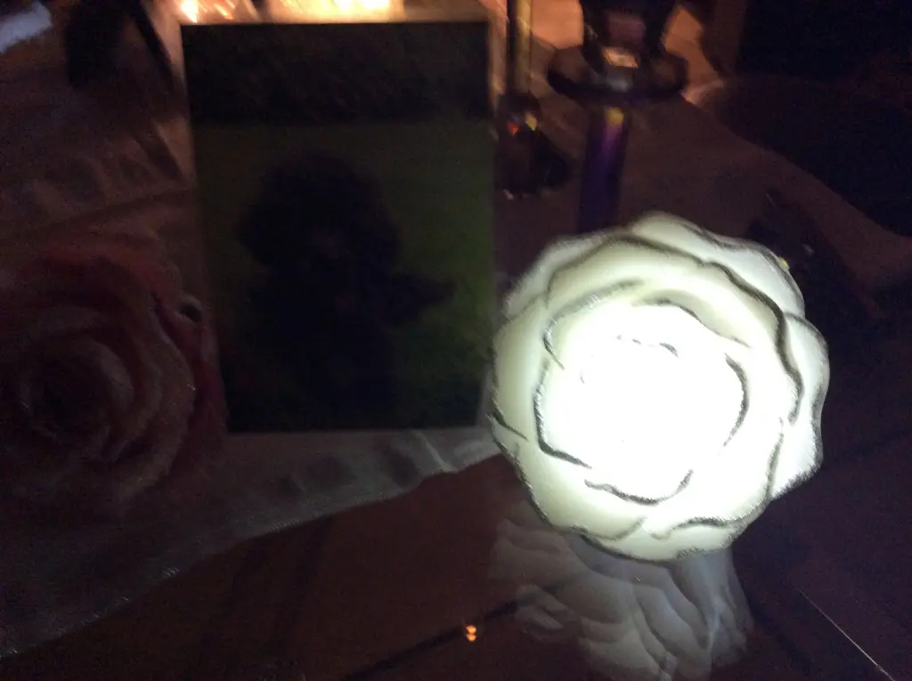 Condolence image of Heidi
