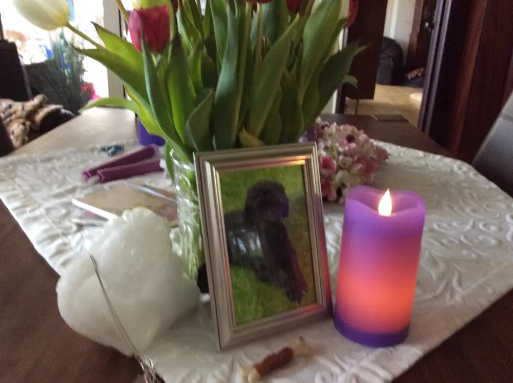 Condolence image of Heidi 