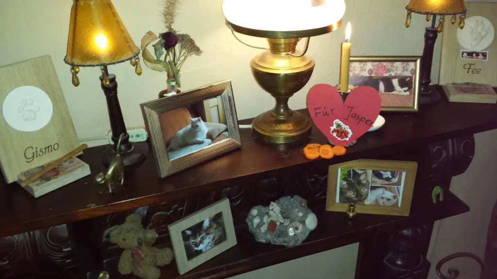 Condolence image of Ilse mit Jule, Gismo, Fee und Minna tief im Herzen