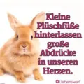 Condolence image of Wochenendrose
