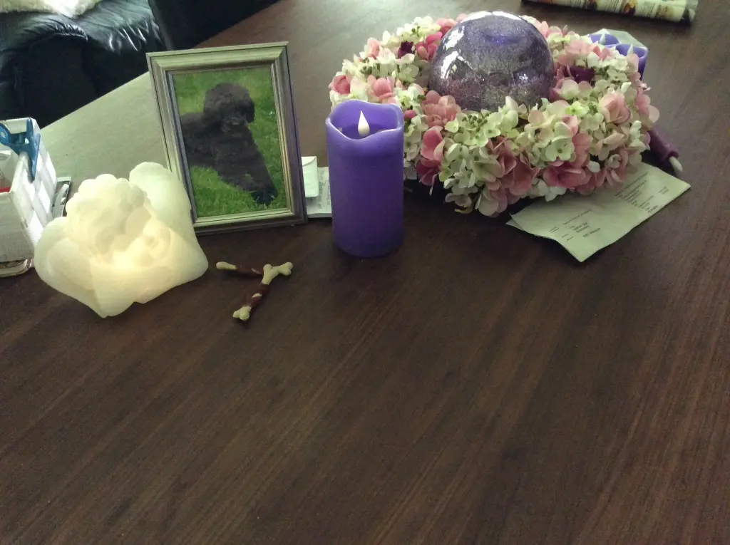 Condolence image of Heidi 
