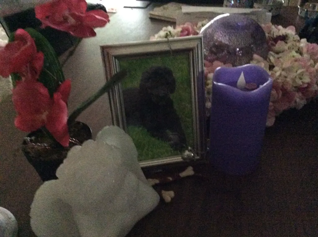 Condolence image of Heidi 