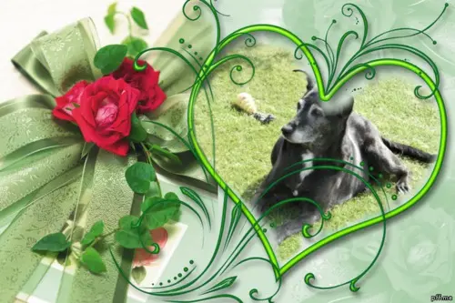 Condolence image of Unbekannt