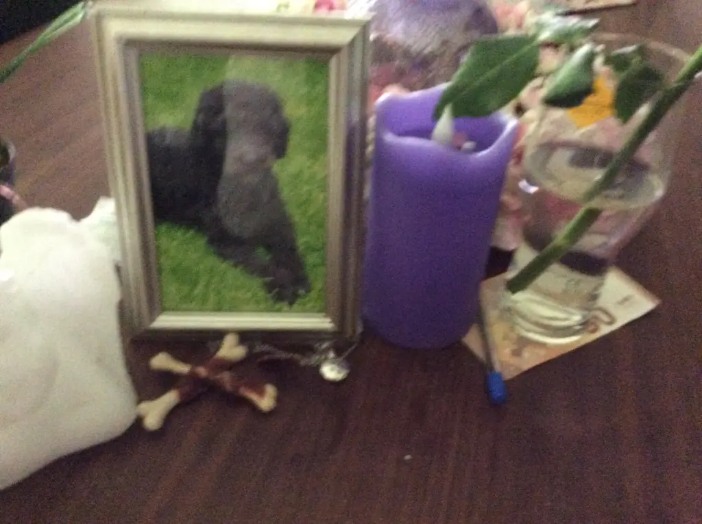 Condolence image of Heidi 