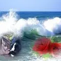 Condolence image of ❤️❤️❤️