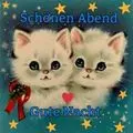 Condolence image of Uschi mit Seelenkatzen Jojo und Merlin