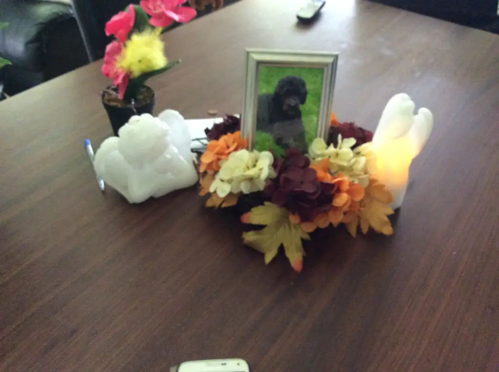 Condolence image of Heidi 