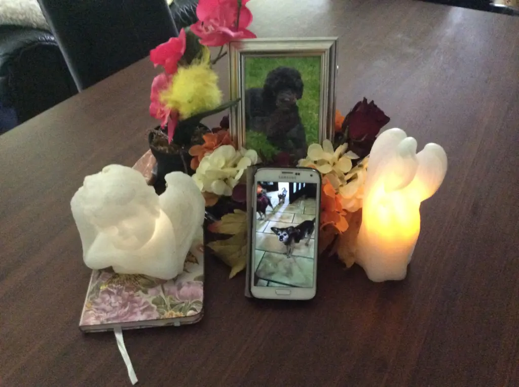 Condolence image of Heidi 