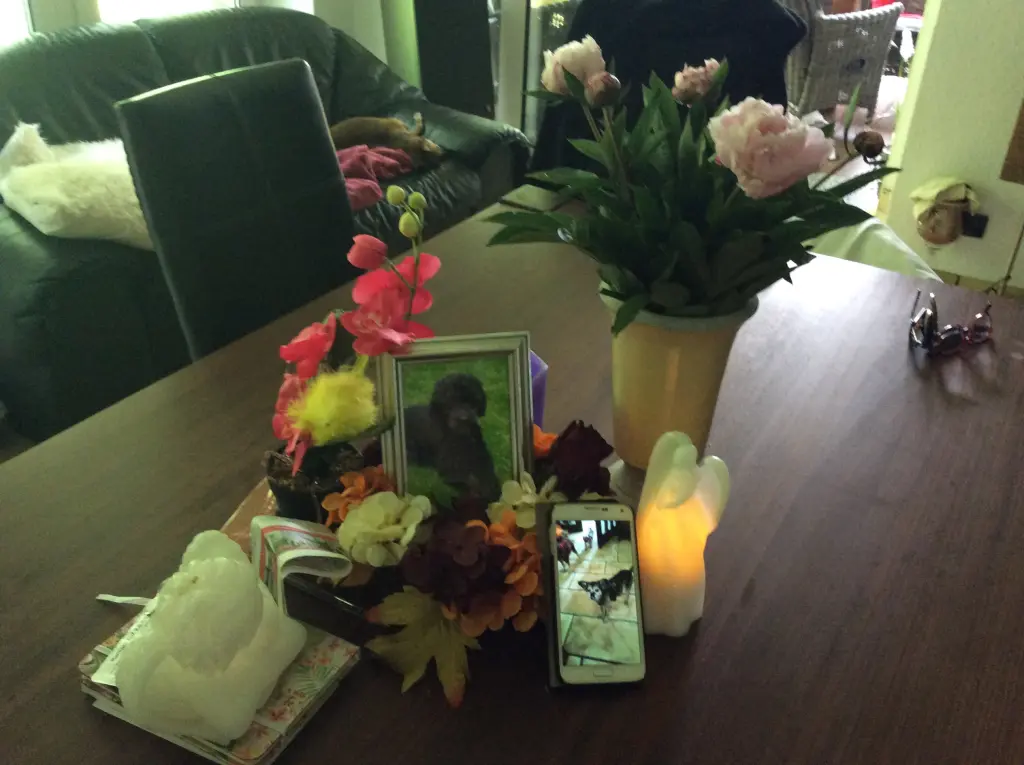 Condolence image of Heidi 