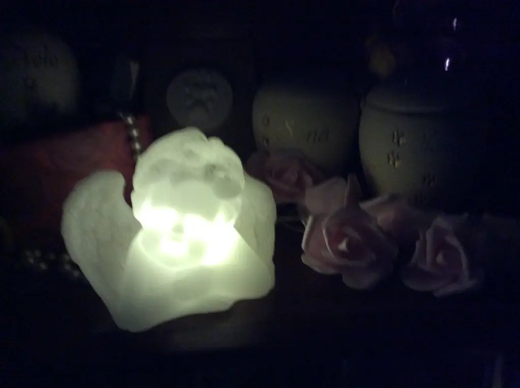 Condolence image of Heidi 
