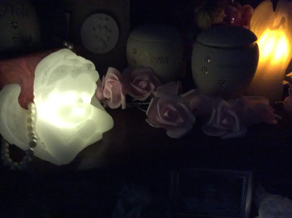 Condolence image of Heidi 