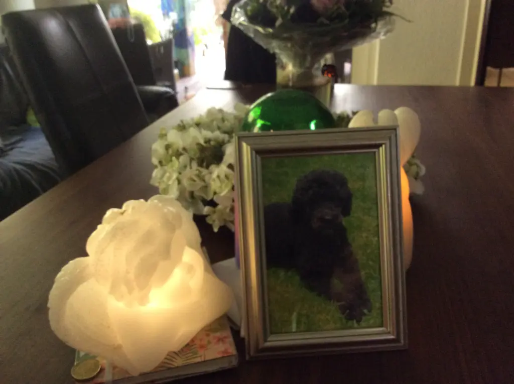 Condolence image of Heidi 
