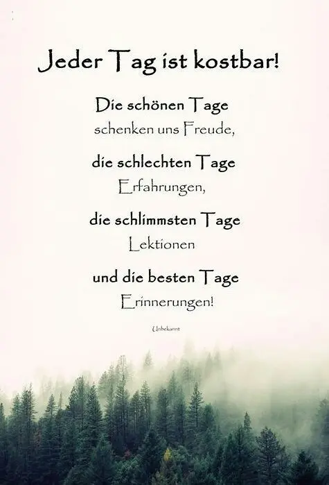 Condolence image of Ilse mit Tier-Sternlein Jule, Gismo, Fee und Minna im Herzen