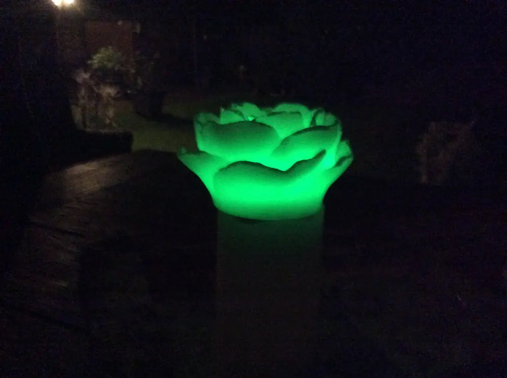 Condolence image of Heidi 