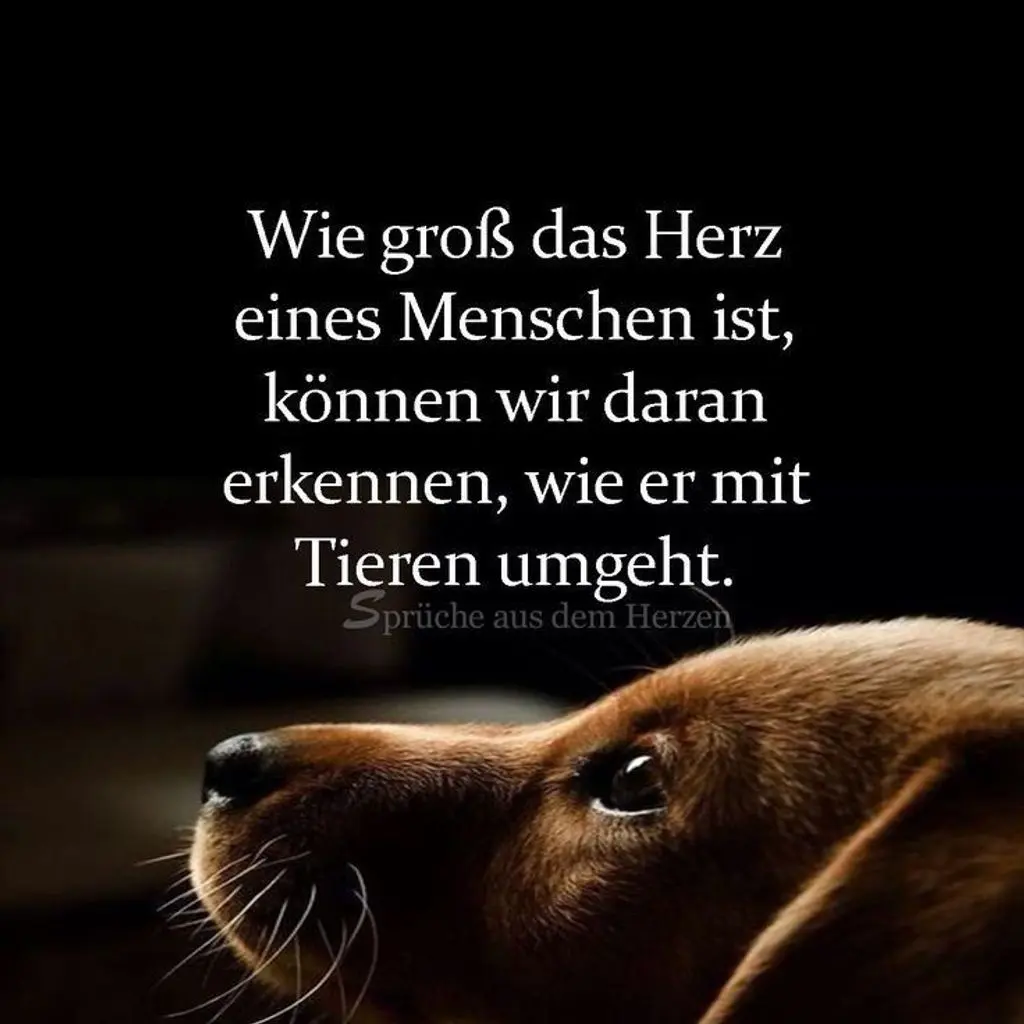 Condolence image of Ellen mit Lina ♥️