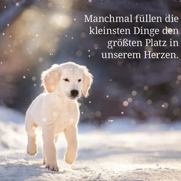 Condolence image of Unbekannt