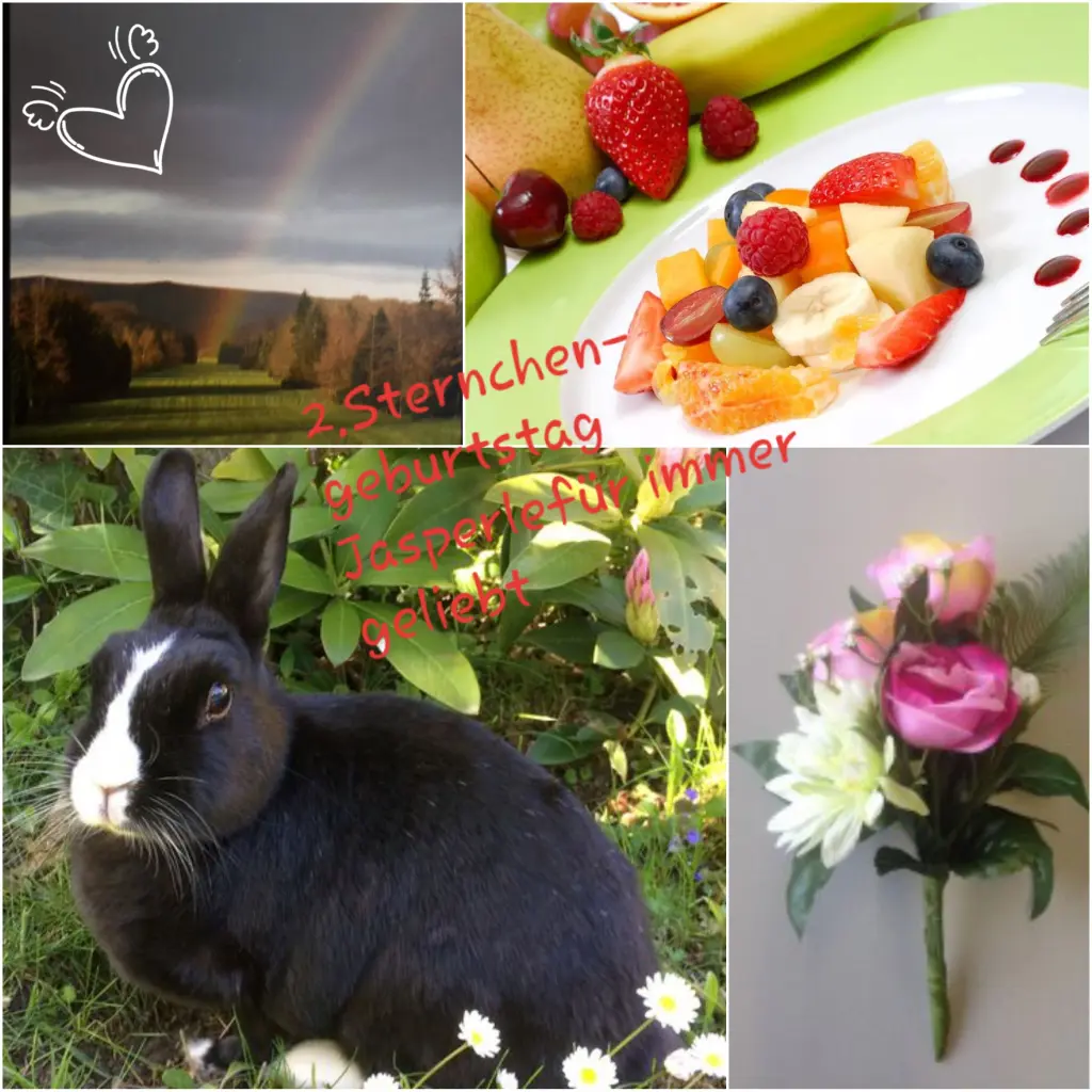 Condolence image of Eike und Edeltraud mit Mulle Miezi ,Jonny und Felix  tief im Herzen ♥️♥️♥️♥️